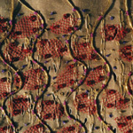 Bookcover
