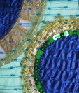 Palazzo Dario 10